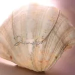 Custom Name Pendant Necklace in 14K Gold