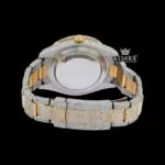 Dual-Tone Standard Numerals Black Dial Moissanite Diamond Watch Caseback View
